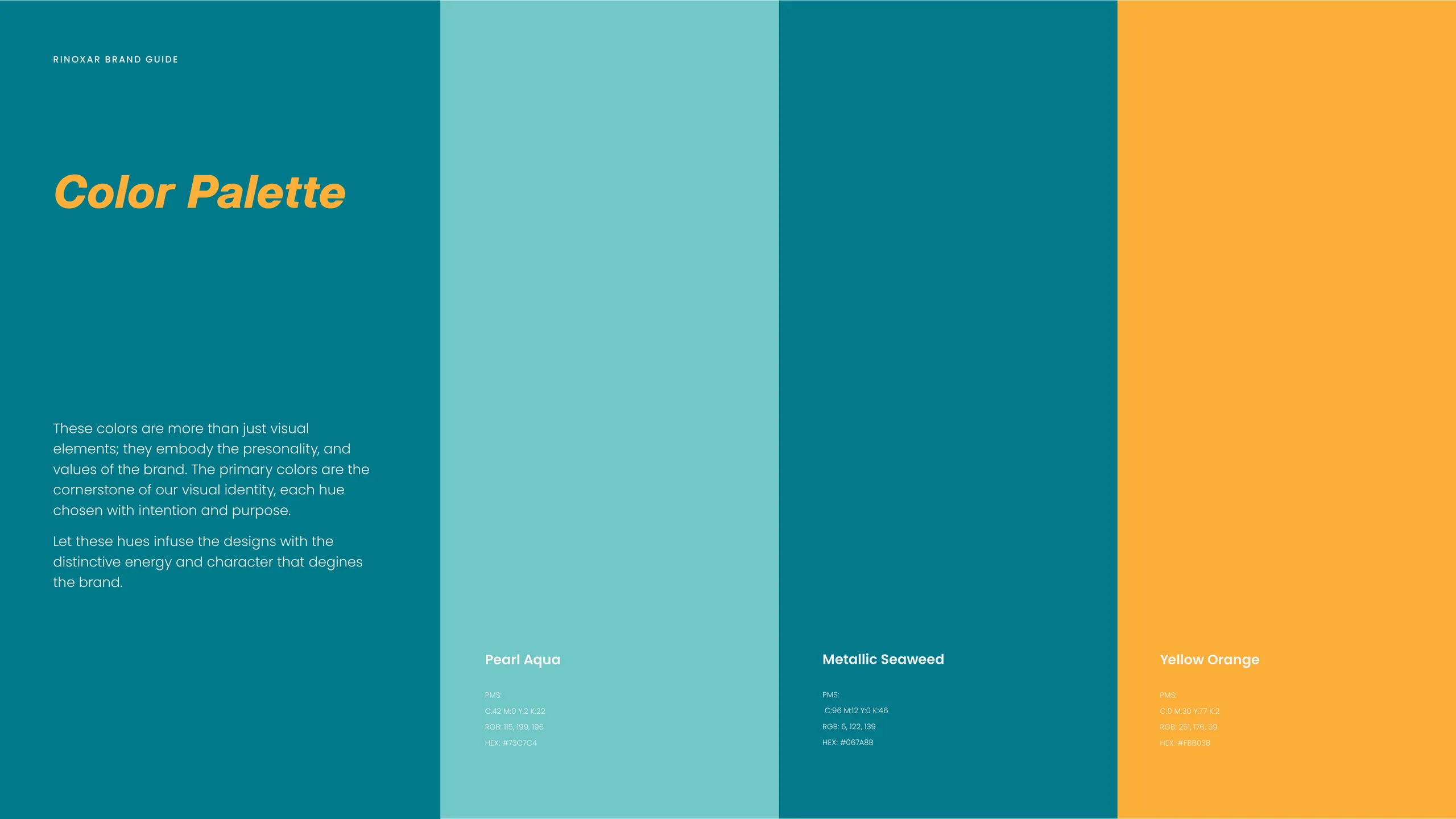 Rinoxar brand identity 3